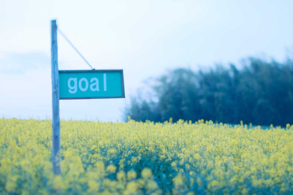 菜の花迷路のGoal_NN～鼻高展望花の丘