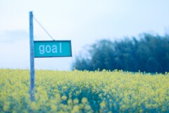 菜の花迷路のGoal_NN～鼻高展望花の丘