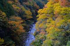 奥多摩渓谷～紅葉１