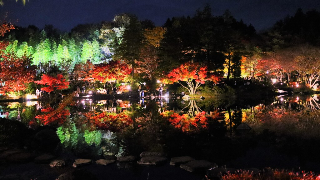 night JP garden～昭和記念公園日本庭園