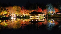 night JP garden～昭和記念公園日本庭園