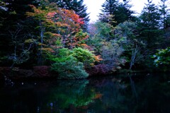 軽井沢～雲場池