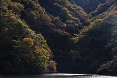 妙義の秋 妙義の秋