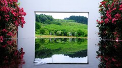 バラ~中之条ガーデンズ バラ~中之条ガーデンズ