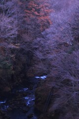 中之条の秋終り3