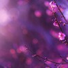 ume