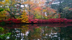 秋の軽井沢~雲場池 秋の軽井沢~雲場池