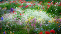 Bouquet garden