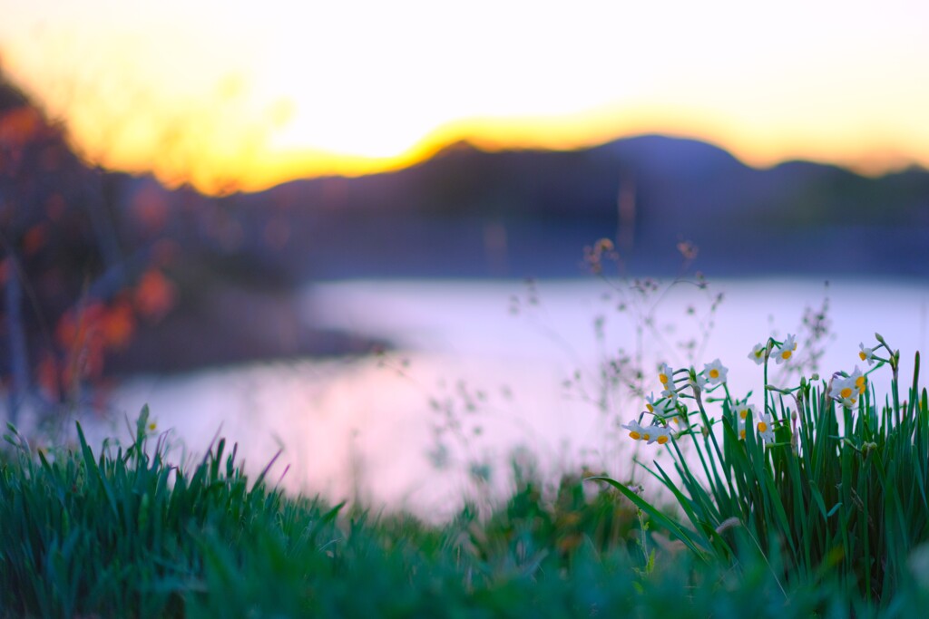 をくづれ水仙峡・佐久間ダム６