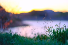 をくづれ水仙峡・佐久間ダム６