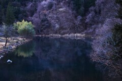 中之条の秋終り2