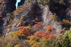 妙義の秋 妙義の秋