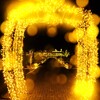 Moonlight Rose Garden～茨木フラワーパ5