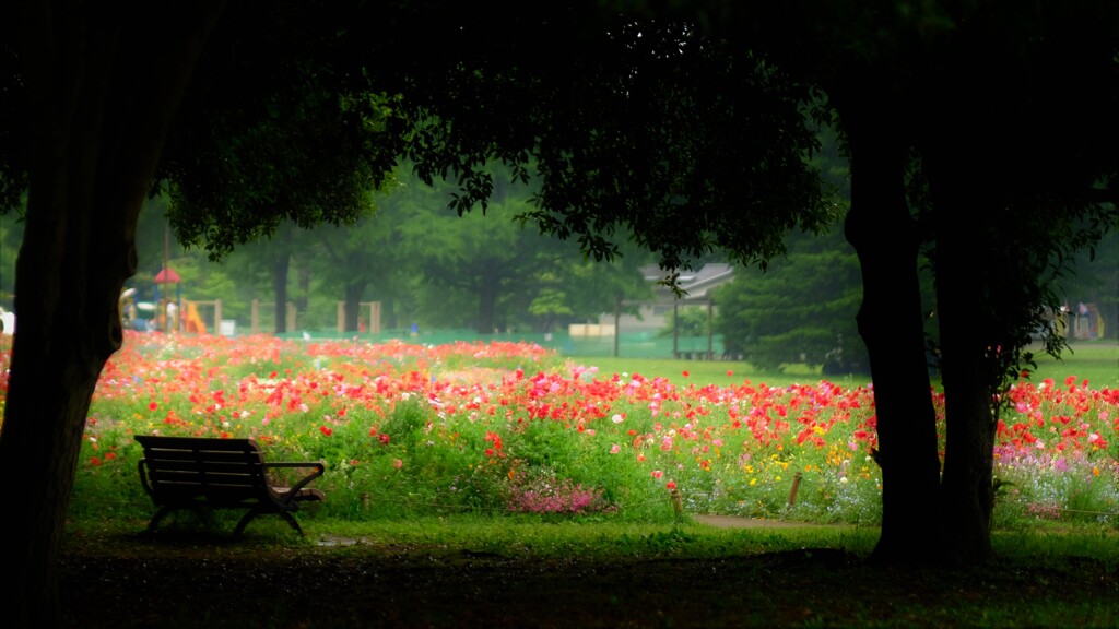 garden bench