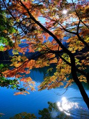 紅葉前半～南伊奈ヶ湖3