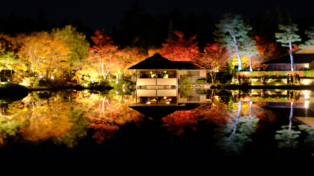 昭和記念公園～秋の夜散歩