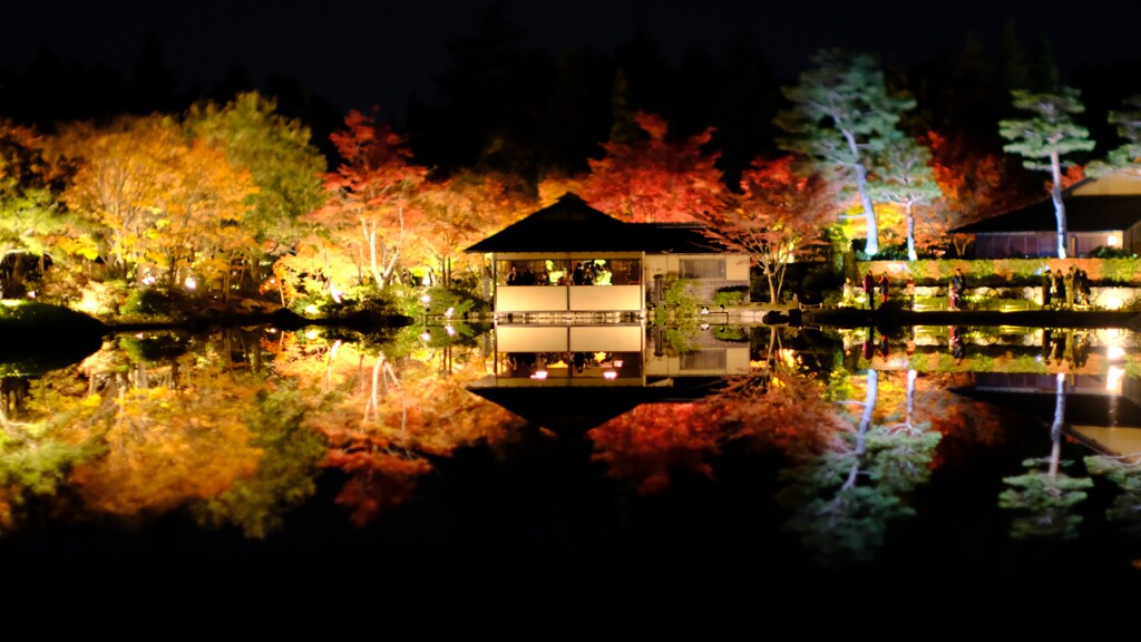 昭和記念公園～秋の夜散歩