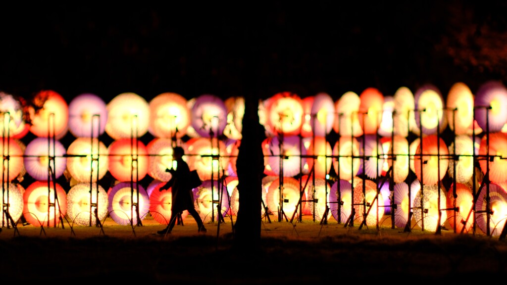 昭和記念公園～秋の夜散歩