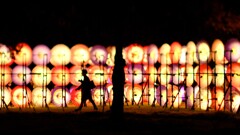 昭和記念公園～秋の夜散歩