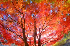 妙義山～紅葉５