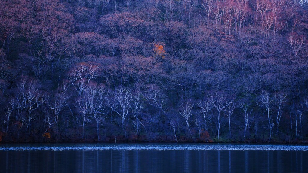 小沼の秋～赤城山2