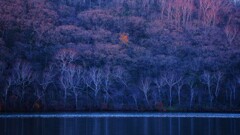 小沼の秋～赤城山2