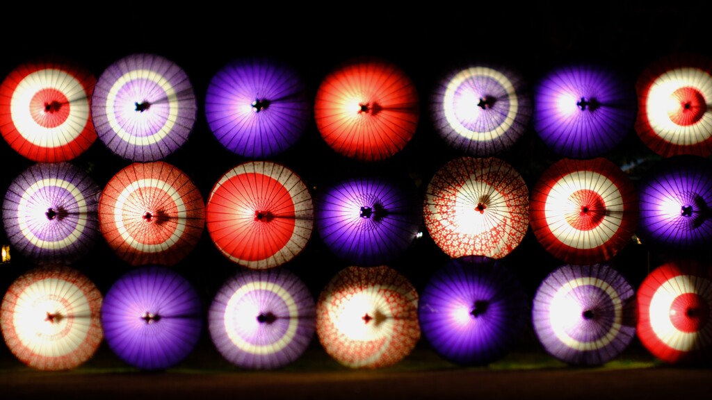 昭和記念公園～秋の夜散歩