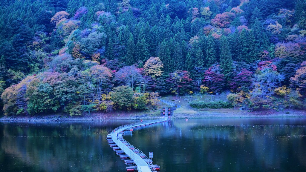 奥多摩湖の秋2