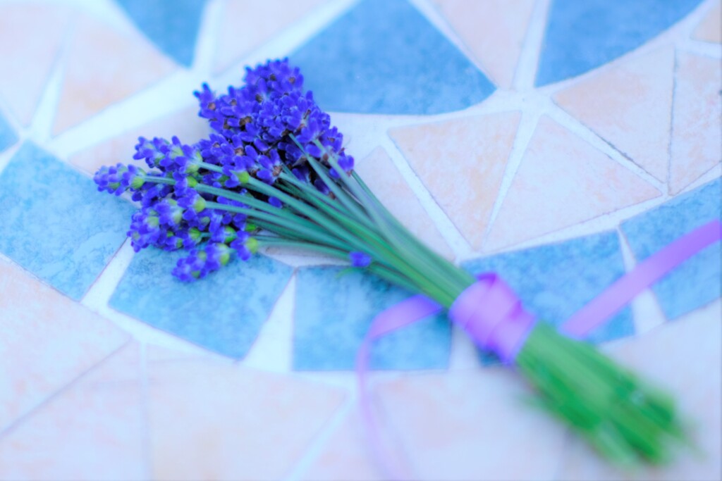 お土産ラベンダー～夢ハーベスト農場