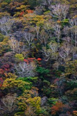 赤城山紅葉３