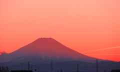 mt. fuji