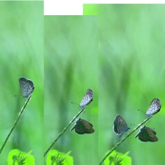 1,2,3,,ちょっとムリ、、