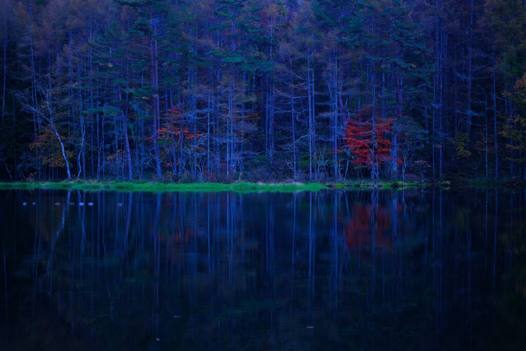 夜紅葉～御射鹿池1