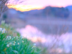 水仙～佐久間ダム1