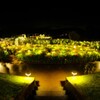 Moonlight Rose Garden～茨木フラワーパーク4