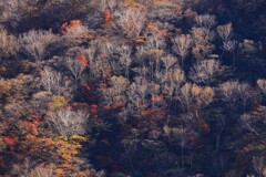 秋の山~新坂平駐車場(赤城) 秋の山~新坂平駐車場(赤城)