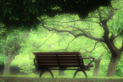 bench