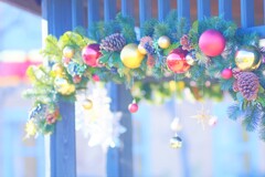 christmas～花菜ガーデン