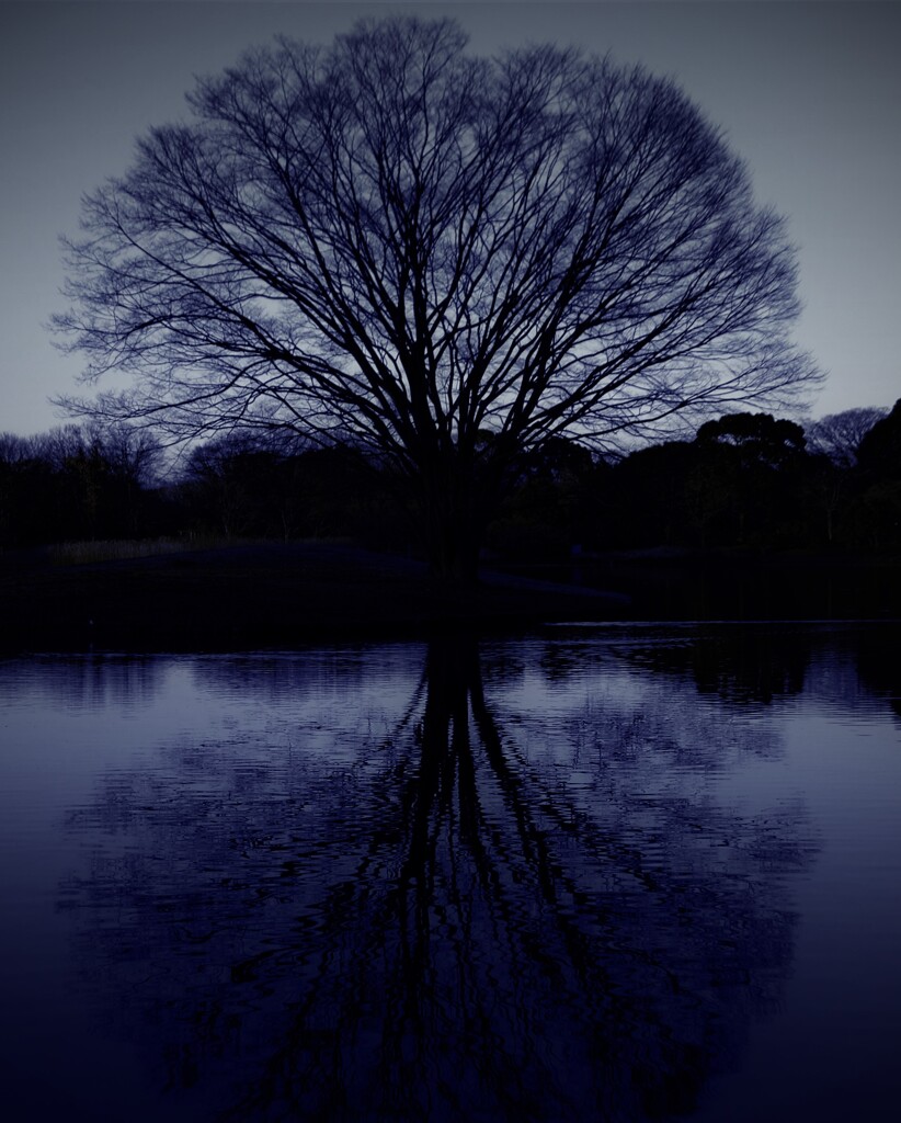 tree