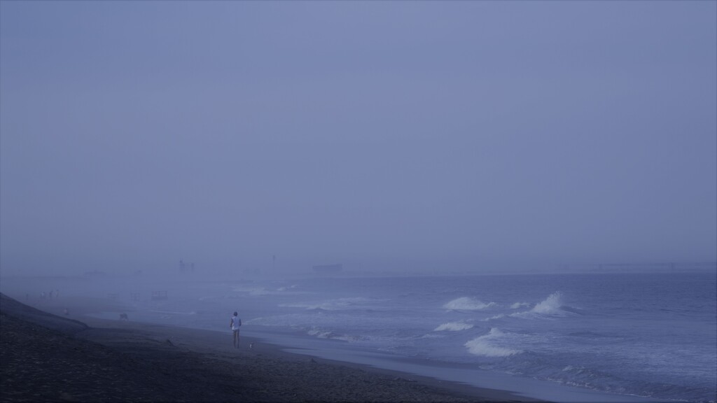 hasiru hoto  horu hito