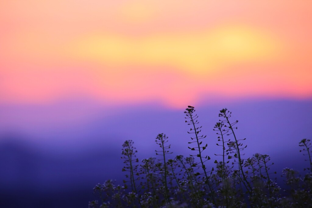 penpen sunset