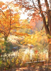 昭和記念公園～紅葉ベンチ２