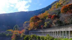 奥多摩湖～紅葉１