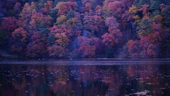 小海線沿線の秋～湖畔紅葉