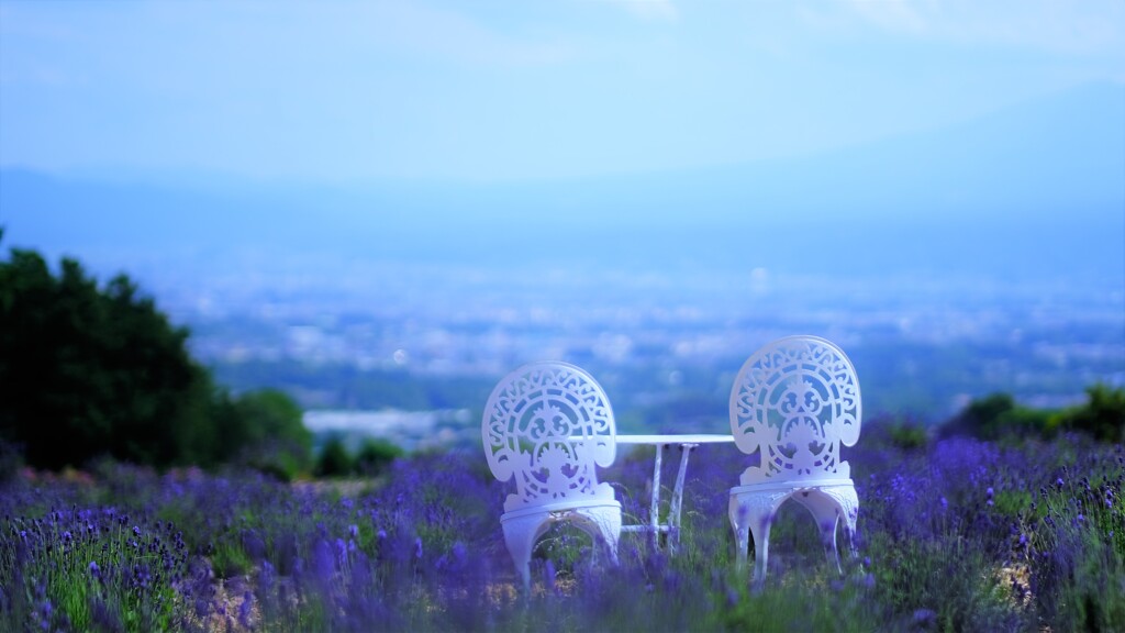 lavender bench