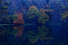 夜紅葉～御射鹿池2
