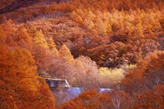 koyo dam