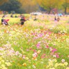 peoples flowers