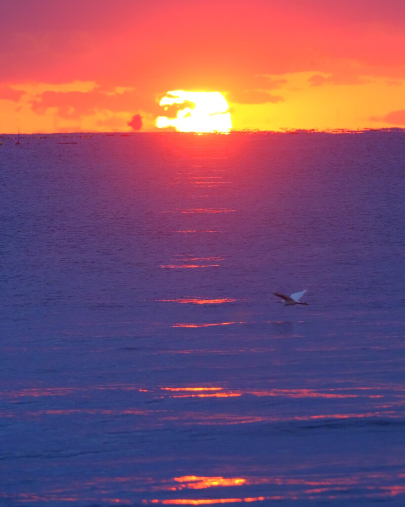 昨日の夕日～保田中央海岸