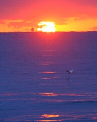 昨日の夕日～保田中央海岸